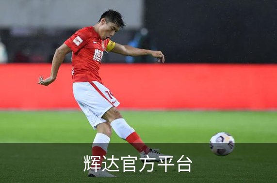 辉达官方平台品牌故事